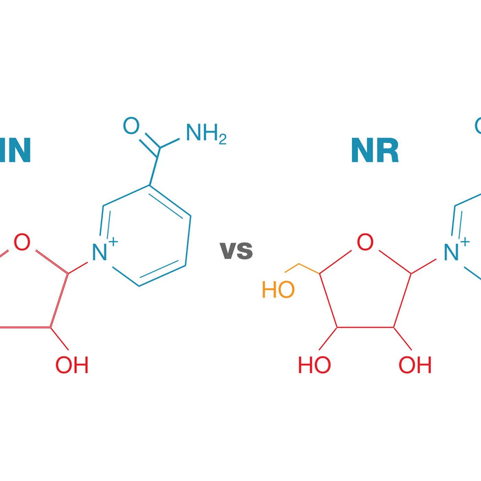 What are the differences between NMN and NR?
