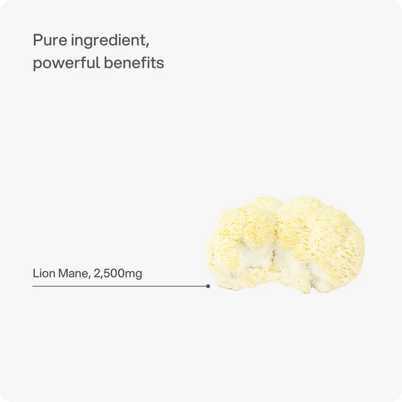 Headstrong Lion's Mane Mushroom Capsules