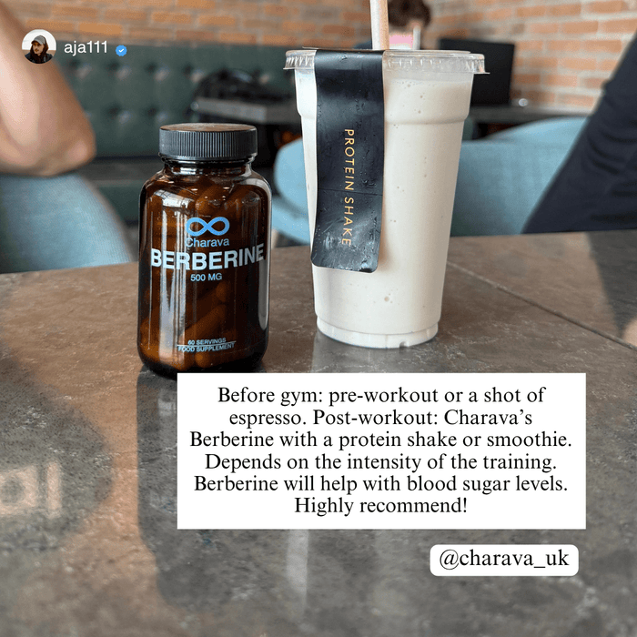 Berberine 500mg
