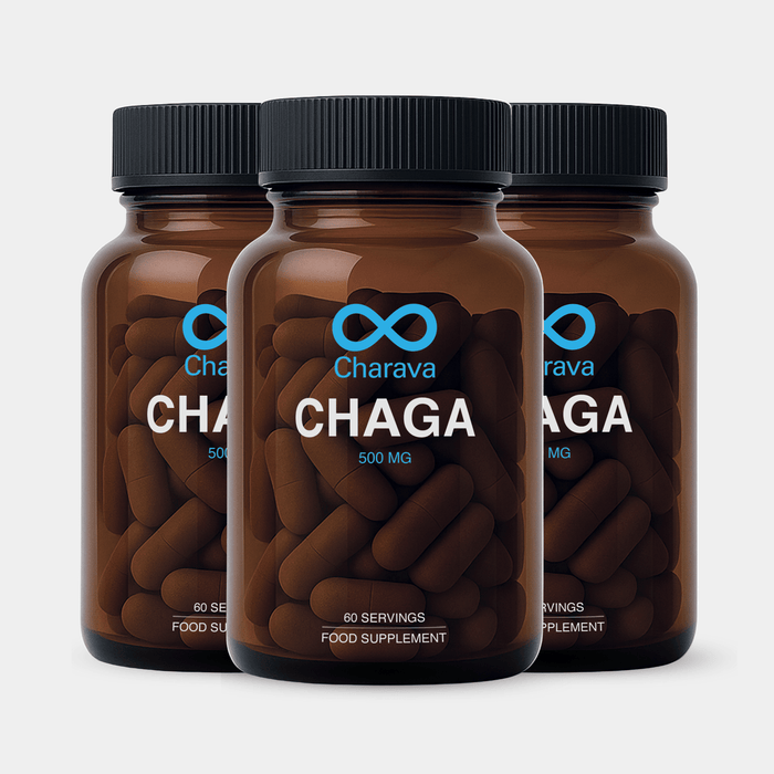 Chaga 500mg