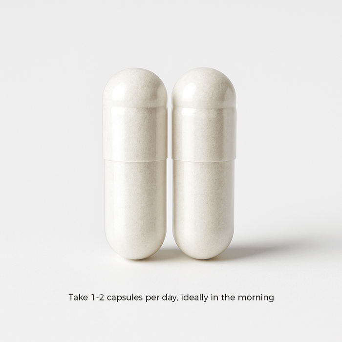 Lions Mane Mushroom 500mg