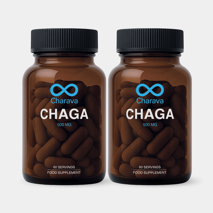 Chaga 500mg