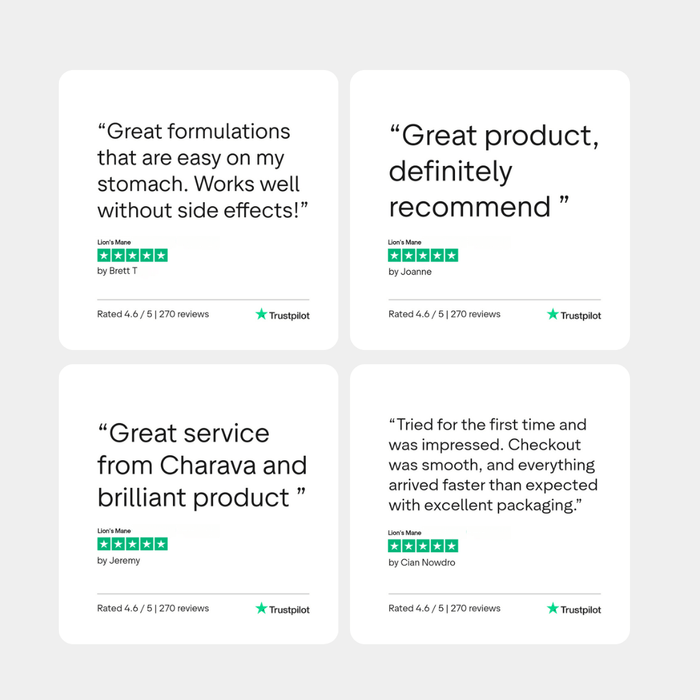 Lions Mane Mushroom 500mg