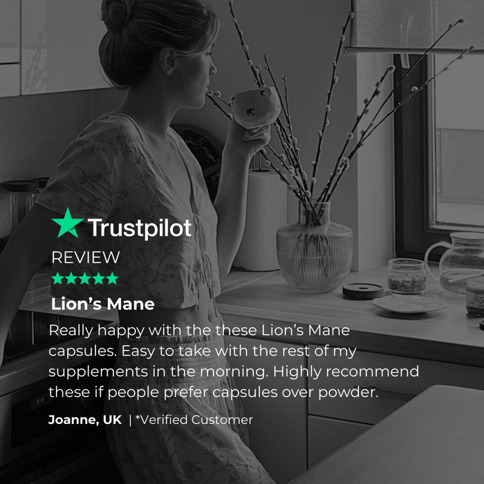 Lions Mane Mushroom 500mg