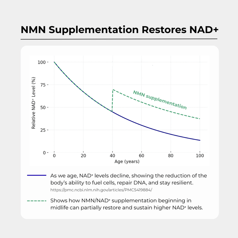 NMN 500mg