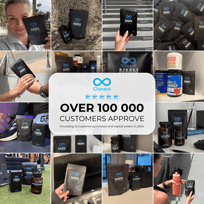 NMN Powder